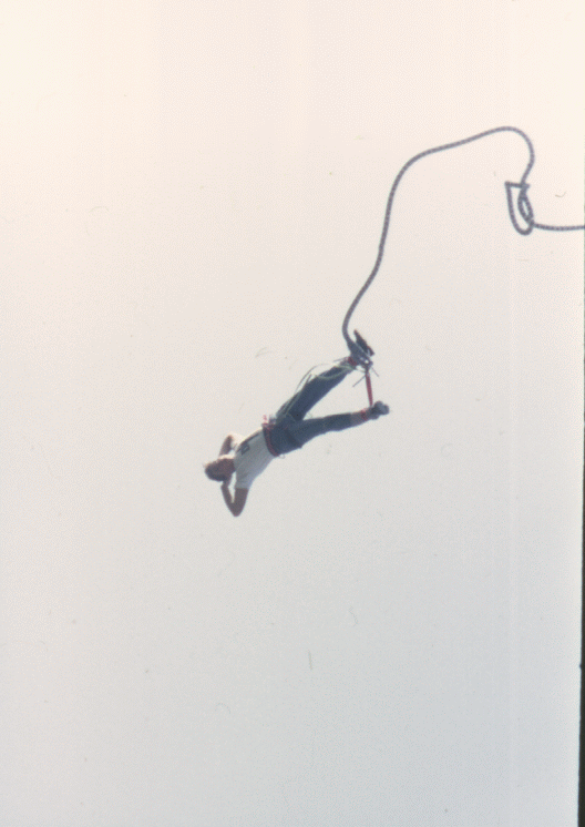 ../Bungee-Springer9 RA Dr. Anton Schaefer